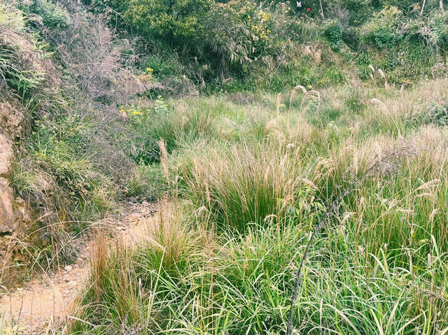 重慶市沙坪壩區著名文物保護區景點：虎風山、適合拍照打卡、週末閒暇度假地！ 