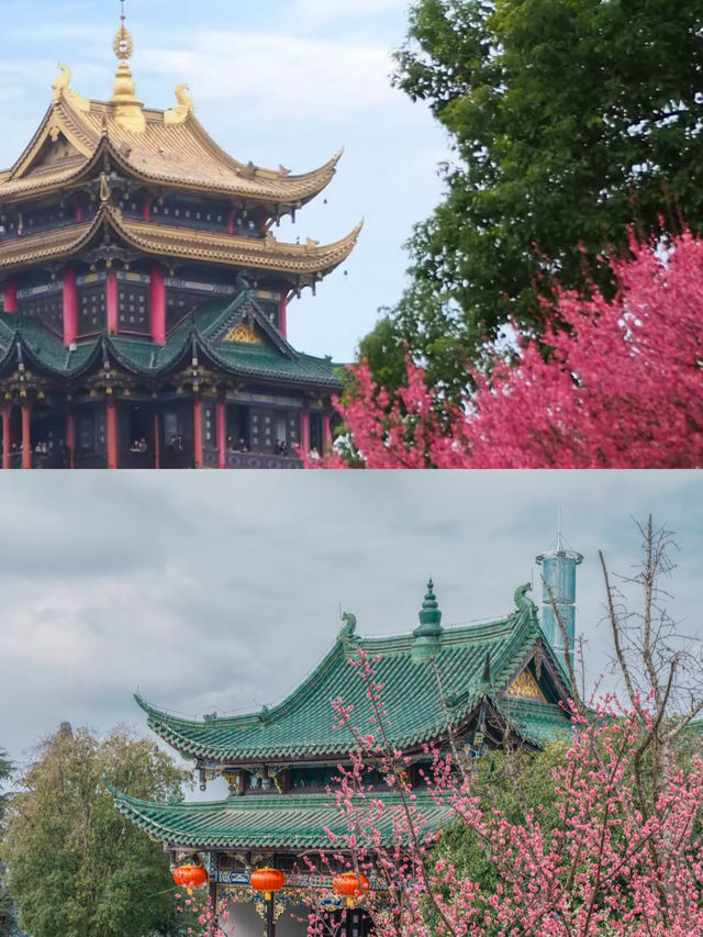 來鴻恩寺，邂逅花與禪意的浪漫約定