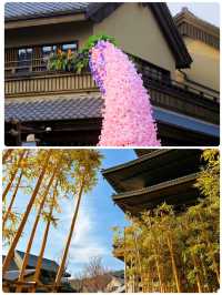 嚟喇，去東山問梅村做一日「戲中人」啦！ 