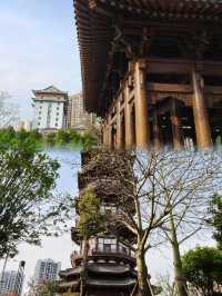 赴一場西昌之旅，盡覽航天浪漫與湖光山色