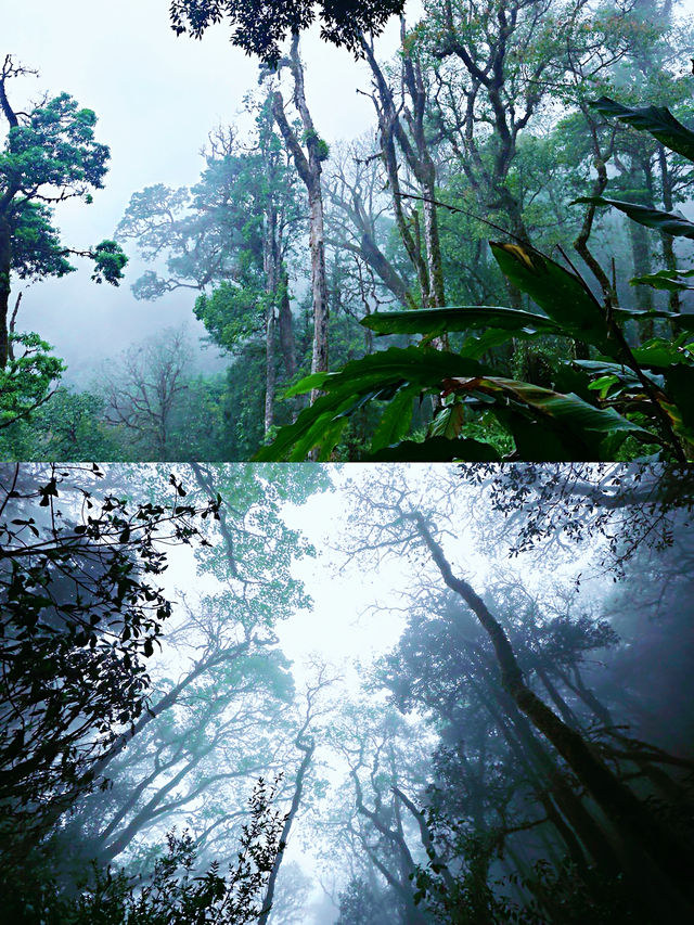 野性的溫柔，騰衝旅遊攻略