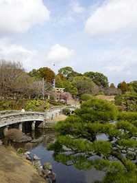 識名園賞櫻攻略：在歷史遺跡中漫步粉色花海