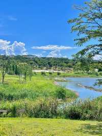 石岩湖濕地公園 | 環湖徒步騎行天花板
