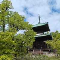 被大阪藤田邸跡公園美到 