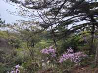 天柱山之旅，尋找心靈的歸宿