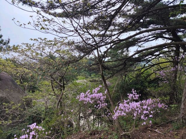 天柱山之旅，尋找心靈的歸宿