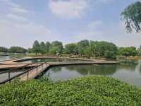 Dream Day at Chenshan Botanical Gardens