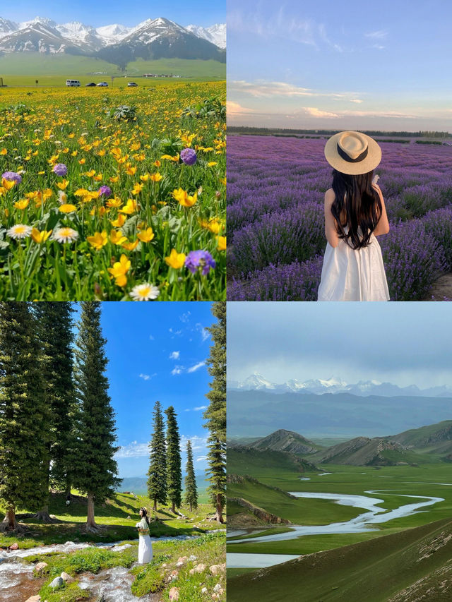 新疆北疆10天環線｜浪漫之旅