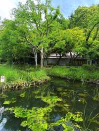 井之頭恩賜公園交通攻略：輕鬆抵達市區綠洲