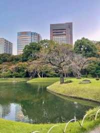 東京小石川後樂園交通攻略：輕鬆抵達江戶風情的日式庭園  