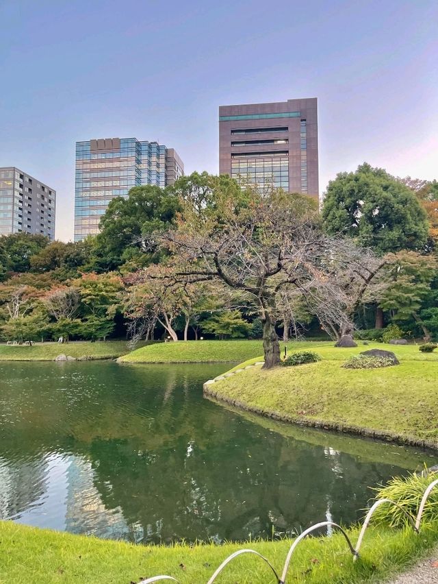 東京小石川後樂園交通攻略：輕鬆抵達江戶風情的日式庭園  