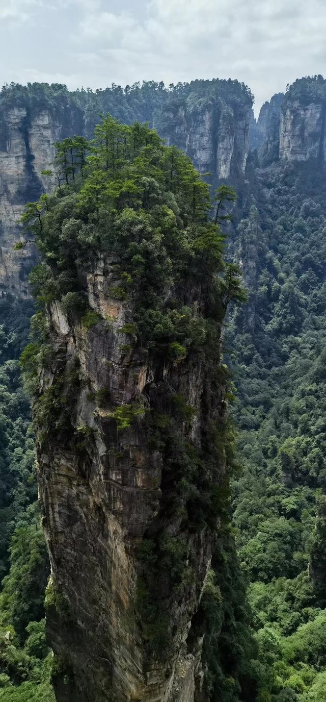 張家界森林公園 天門山旅遊攻略嚟啦