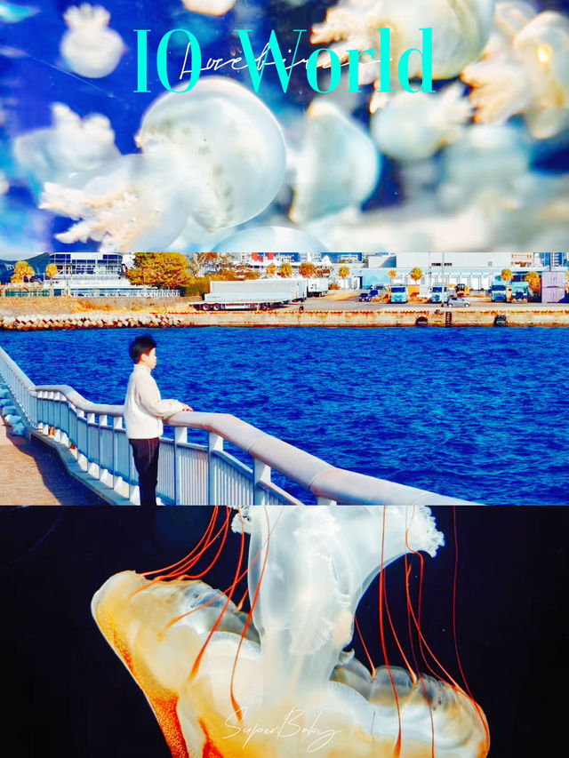 鹿兒島水族館端午旅遊攻略：海洋生物嘅奇妙之旅✨