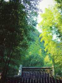 蘭亭之美：一場心靈的邂逅