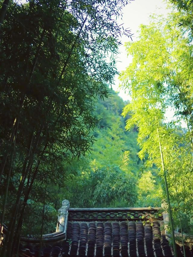 蘭亭之美：一場心靈的邂逅
