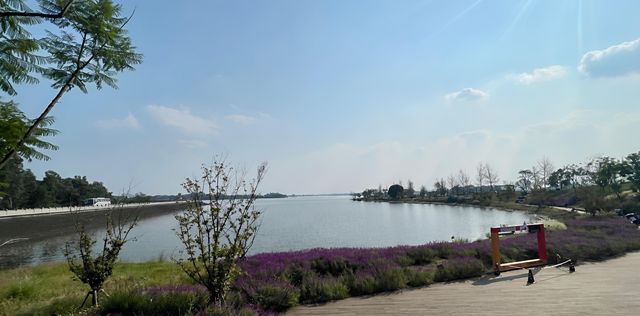 夏日消暑秘笈：呢啲地方令你涼透成個夏天！