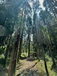邂逅樂清 | 解鎖小眾寶藏旅行地