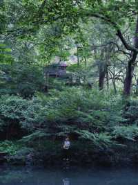 杭州旅遊攻略