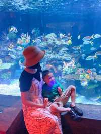 端午唔塞車帶娃躺平式度假