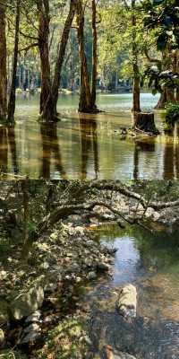 準備好闖進漫畫裡的治癒系公園了嗎？