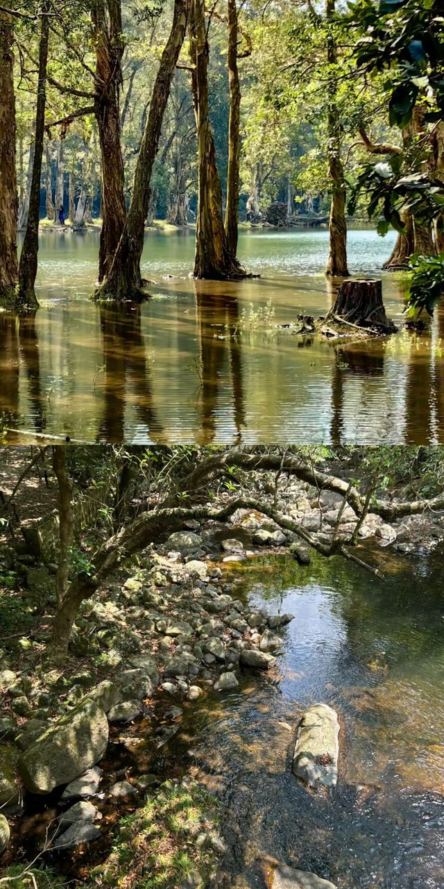 準備好闖進漫畫裡的治癒系公園了嗎？