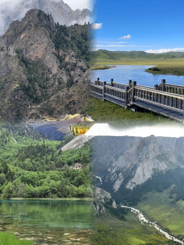 人生建議：6-8月一定要去睇甘南嘅夏天！因為……