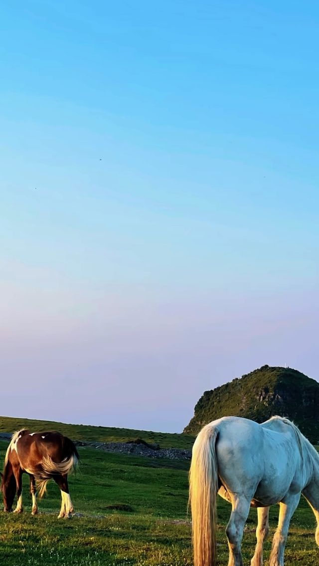 阿西里西大草原 | 超詳細旅遊攻略，寶藏草原之旅