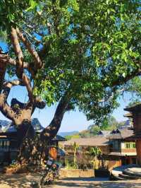 唔係凡人過嘅日子，係神仙先有嘅享受