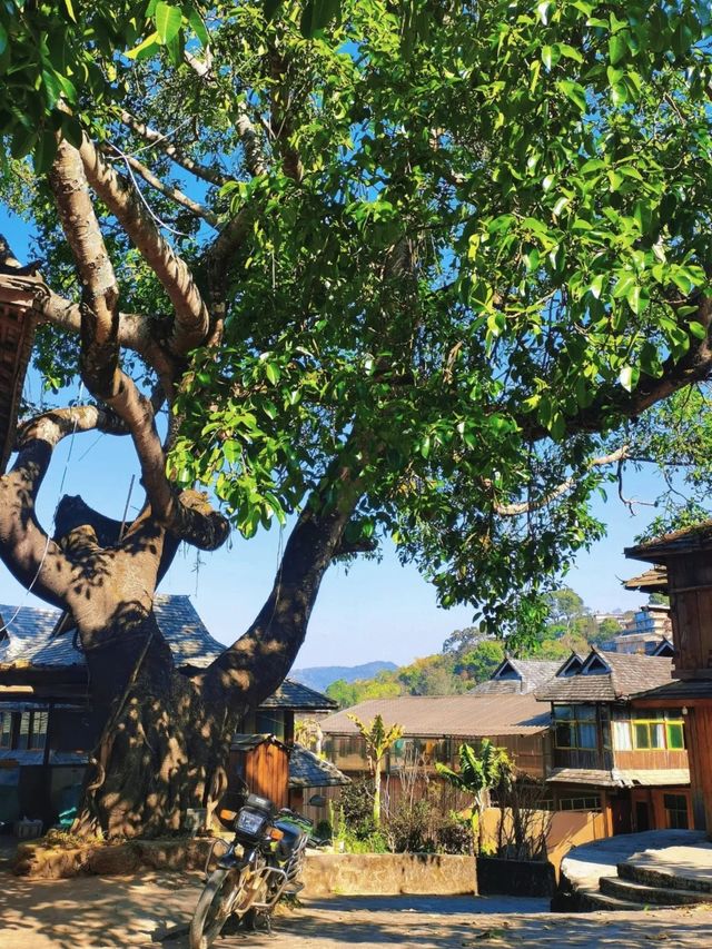 唔係凡人過嘅日子，係神仙先有嘅享受