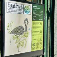 香港動植物公園！呢個冷門公園火烈鳥喺陽光下靚到令人窒息
