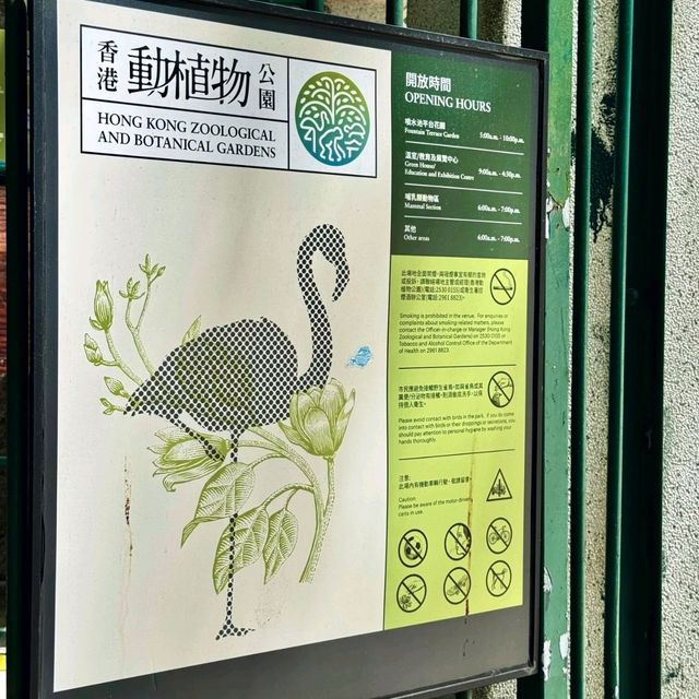 香港動植物公園！呢個冷門公園火烈鳥喺陽光下靚到令人窒息