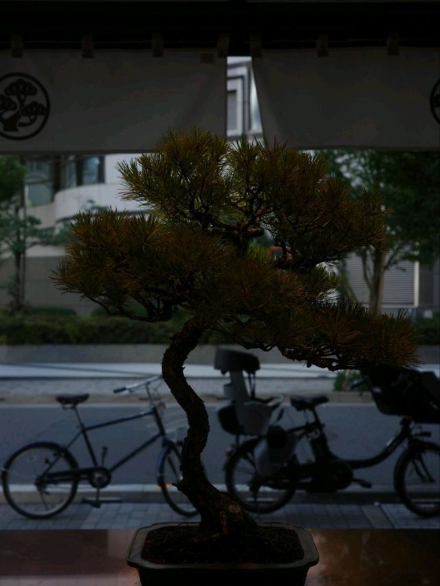 東京・盆栽咖啡體驗｜Bongen Coffee的療癒時光 
