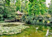 Wuhan Botanic Garden: Where Science, Conservation, and Botanical Splendor Converge