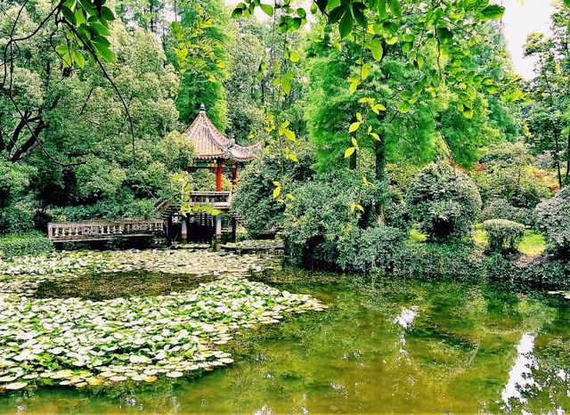 Wuhan Botanic Garden: Where Science, Conservation, and Botanical Splendor Converge