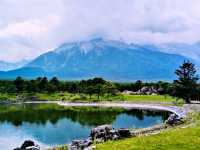 Shangri-La in Summer: Where the Tibetan Plateau Blooms Under Azure Skies