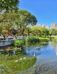尋幽中山園：錦江側畔的夏日清涼詩箋