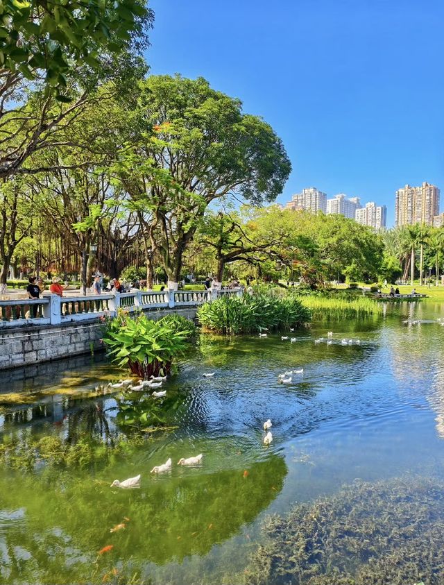 尋幽中山園：錦江側畔的夏日清涼詩箋