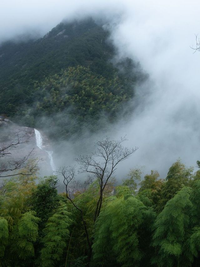 玩轉黃山景點及千島湖～一網打盡。