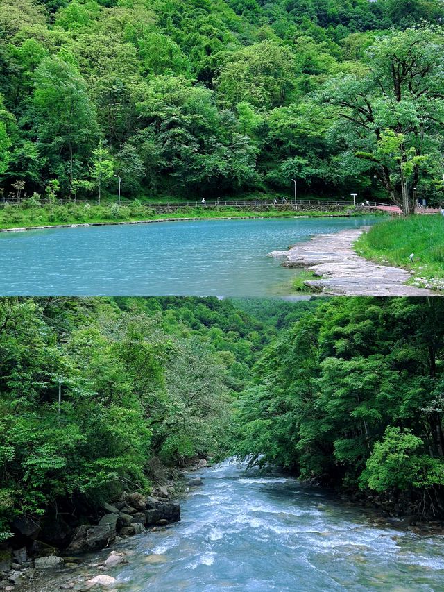 川西小眾秘境/二郎山喇叭河，靚到冇朋友
