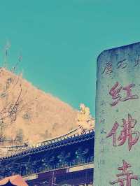 嵊州紅佛寺　禅の世界への旅ガイド