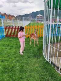 今個夏天同富龍四季小鎮嘅浪漫邂逅