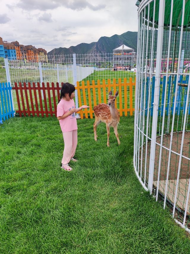 今個夏天同富龍四季小鎮嘅浪漫邂逅