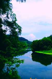 快嚟呢度睇漫花山田，感受摩崖石像，暢享田園自然風光