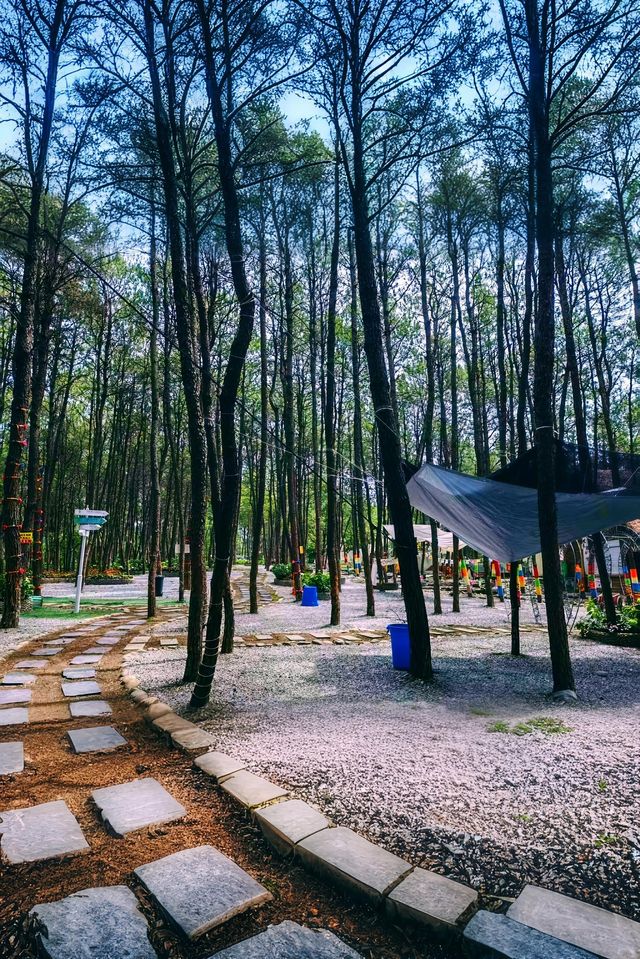 快嚟呢度睇漫花山田，感受摩崖石像，暢享田園自然風光