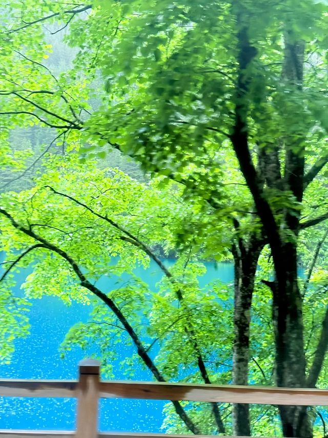 人生建議：一定要在下雨天來趟九寨溝！