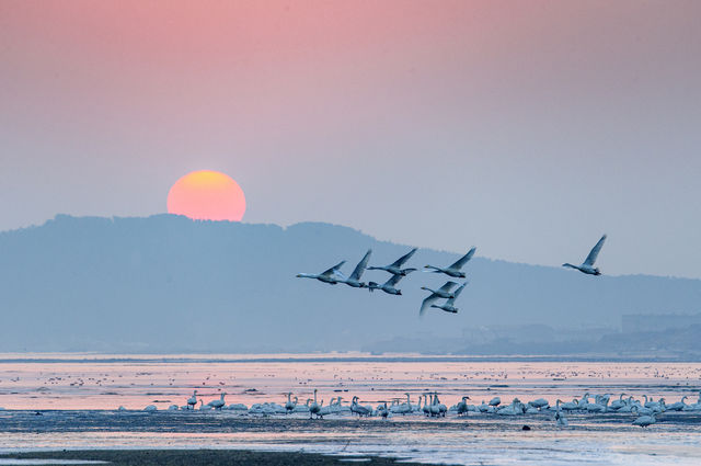 唔好再去青島、煙台、威海迫人啦！國家地理認證嘅寶藏小城，23℃嘅夏天爽到爆