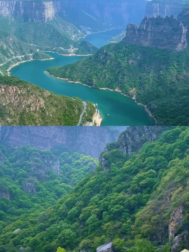 寶泉已返，講啲難聽嘅大實話