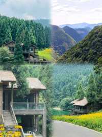 重慶武陵山：一場穿越時空的避暑奇幻之旅 