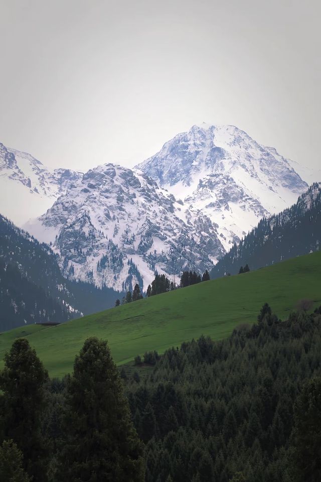闖入恰西：喺雪山森林間，遇見最治癒嘅夏天