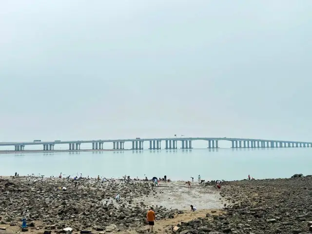 Escape the crowds! Starting from Jinjiang Inn Select, unlock Xiamen Jimei's hidden gem for cycling and beachcombing